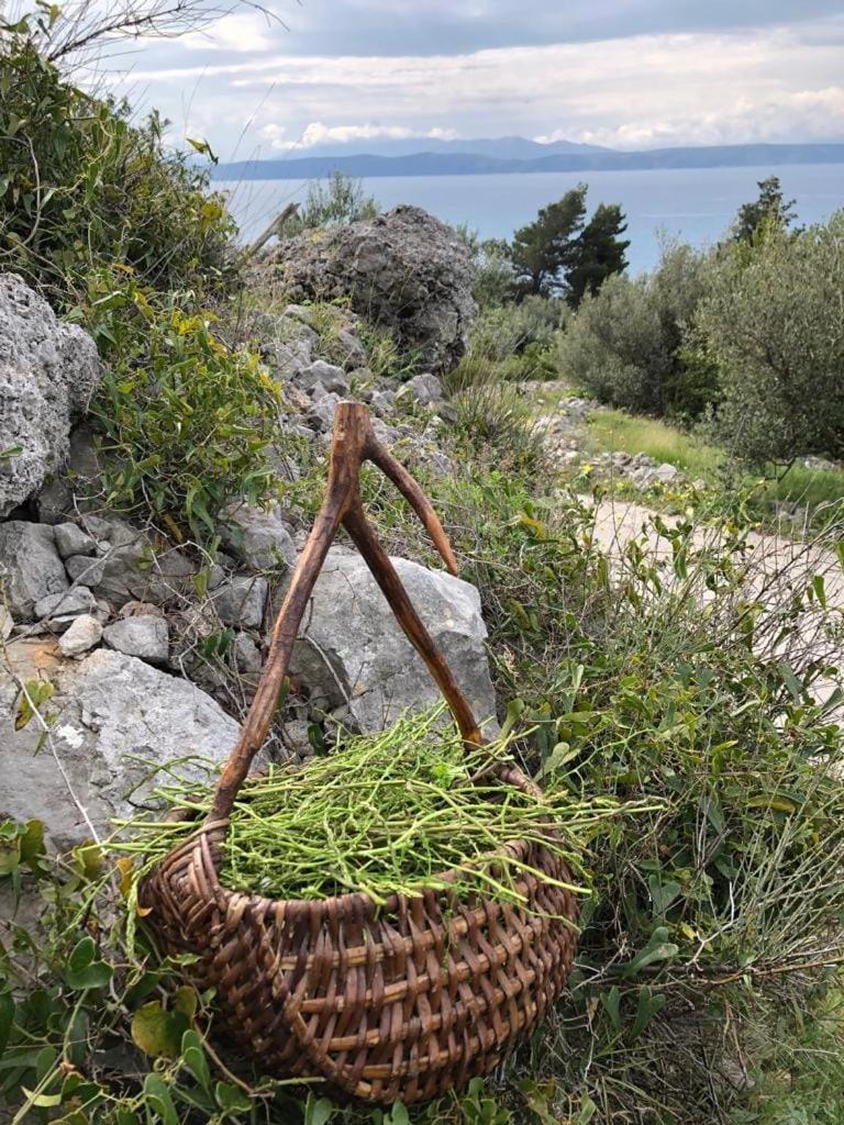 Apartments File Five Podgora Εξωτερικό φωτογραφία