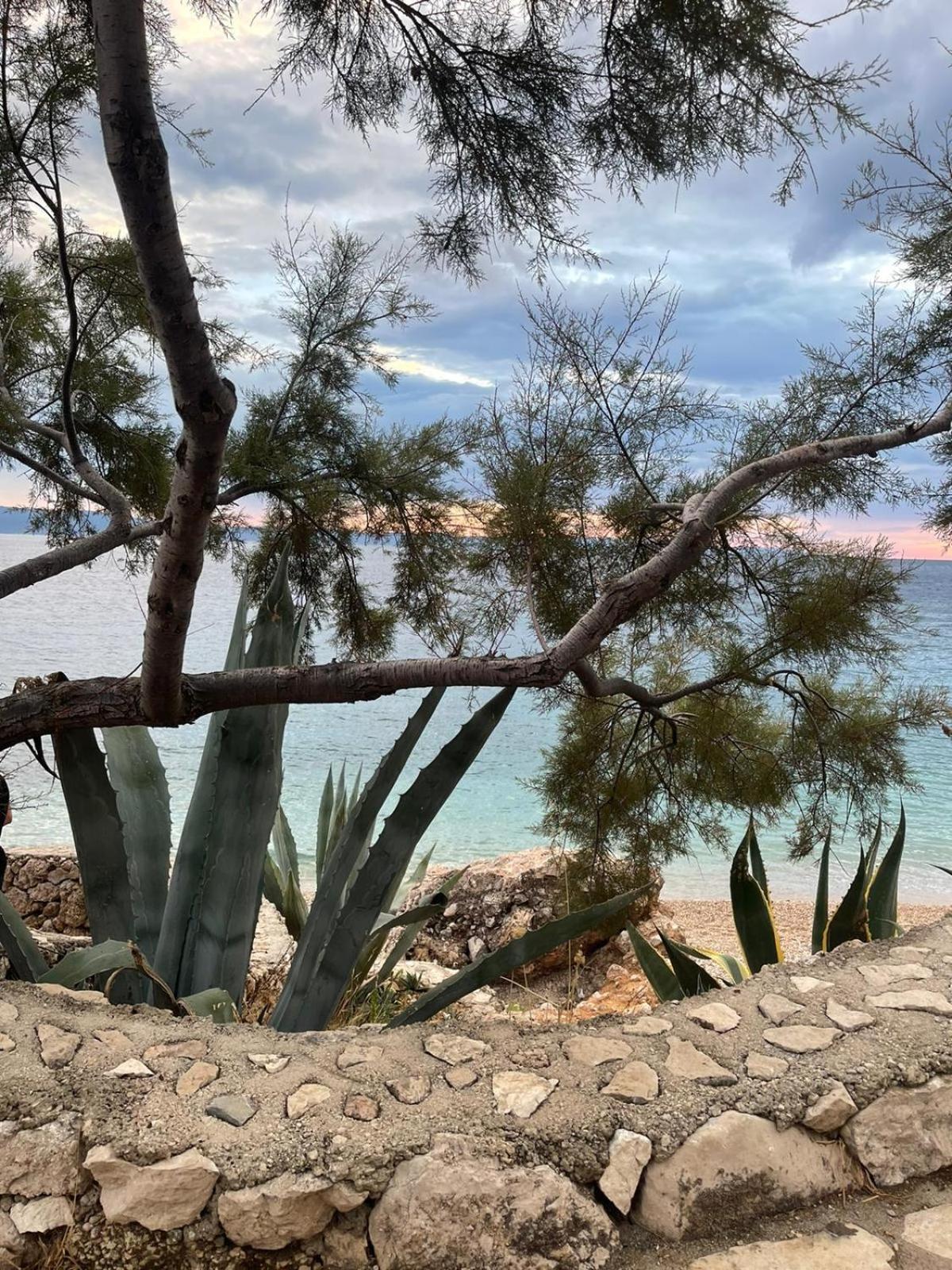 Apartments File Five Podgora Εξωτερικό φωτογραφία